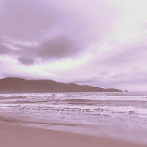 变性人性爱操逼视频
