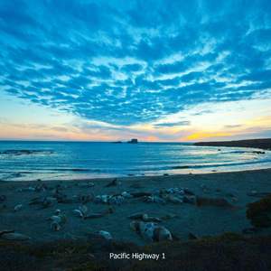 变性人性爱操逼视频
